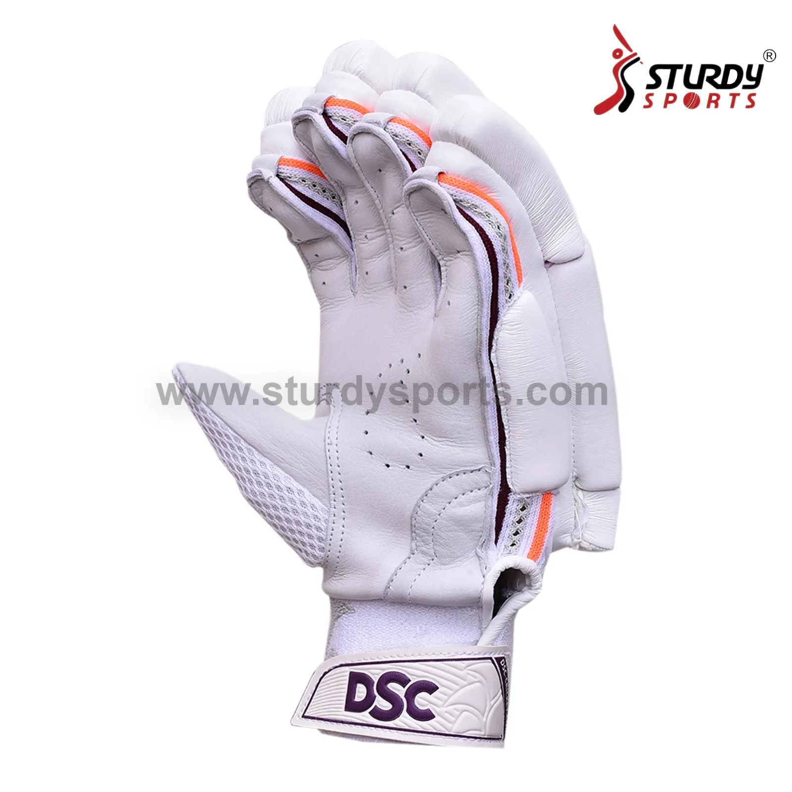 DSC Intense Frost Batting Gloves