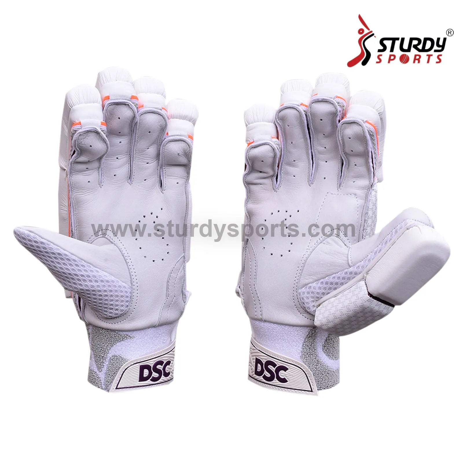 DSC Intense Frost Batting Gloves