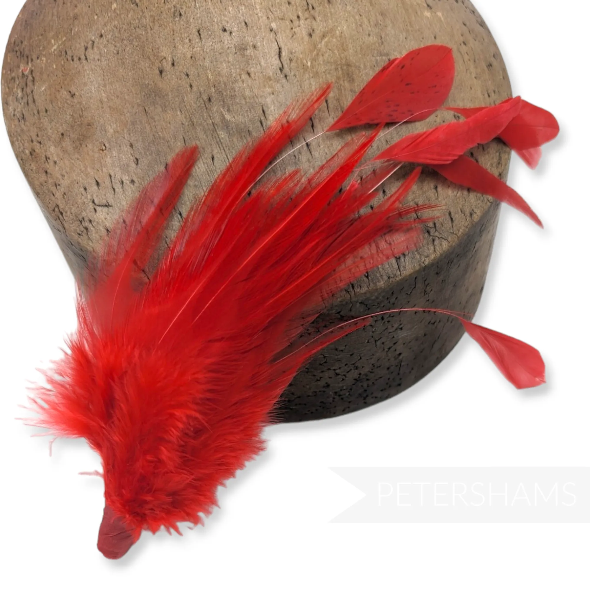 Hackle & Stripped Coque Feather Hat Mount