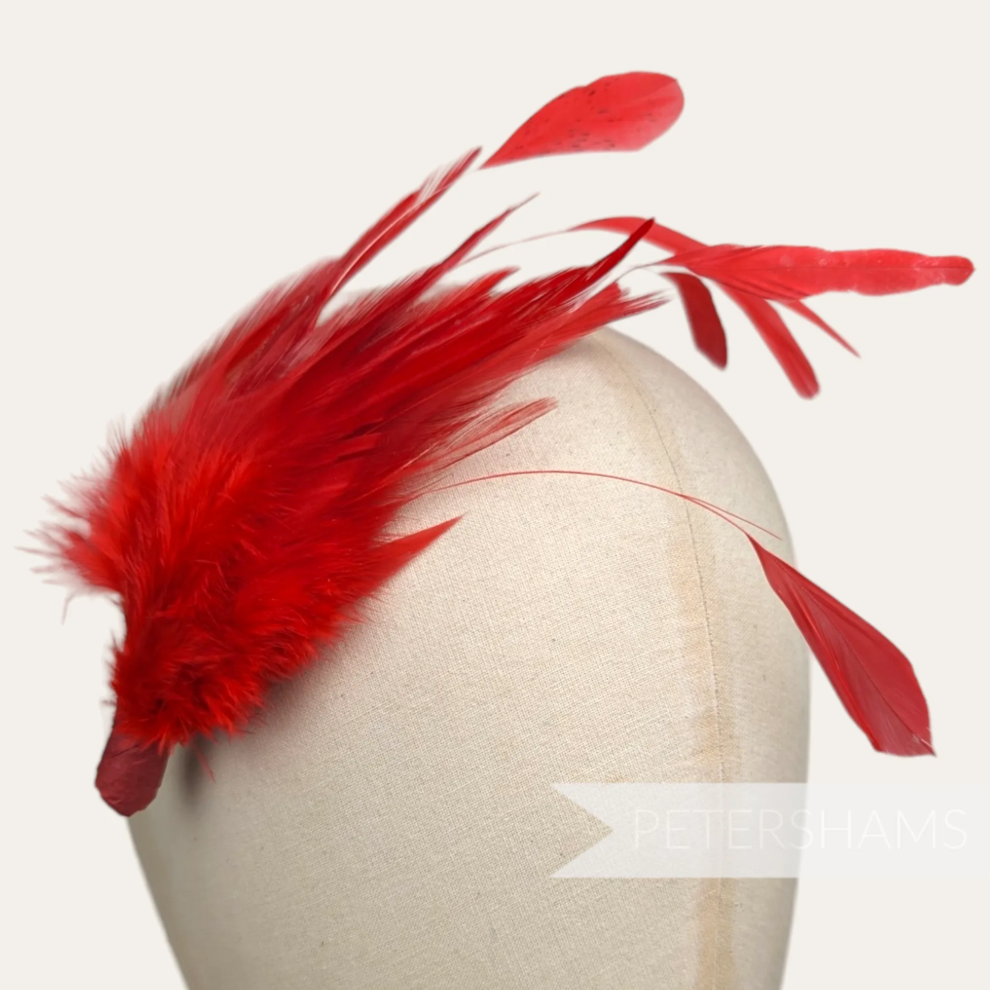 Hackle & Stripped Coque Feather Hat Mount