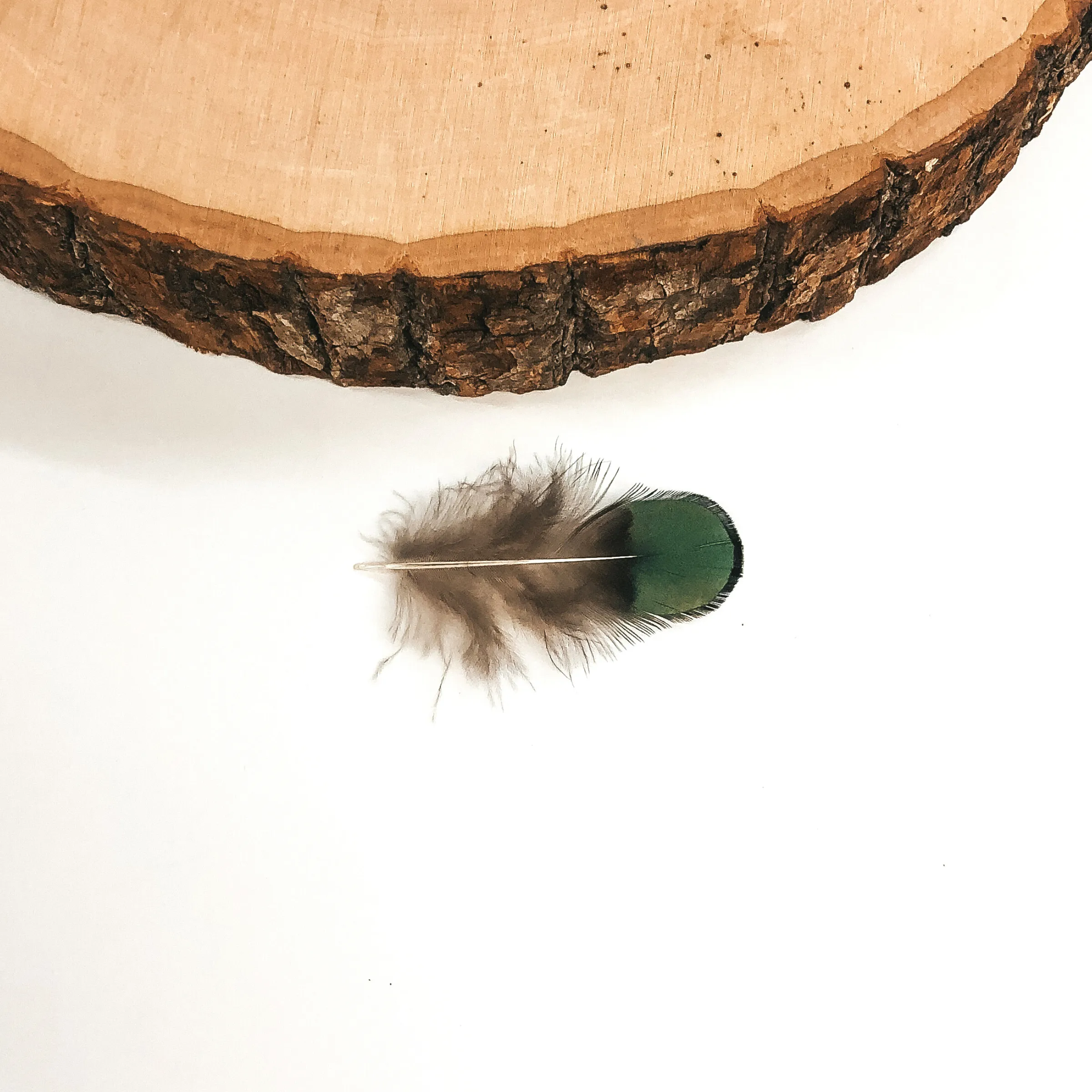 Mini Faux Peacock Feather