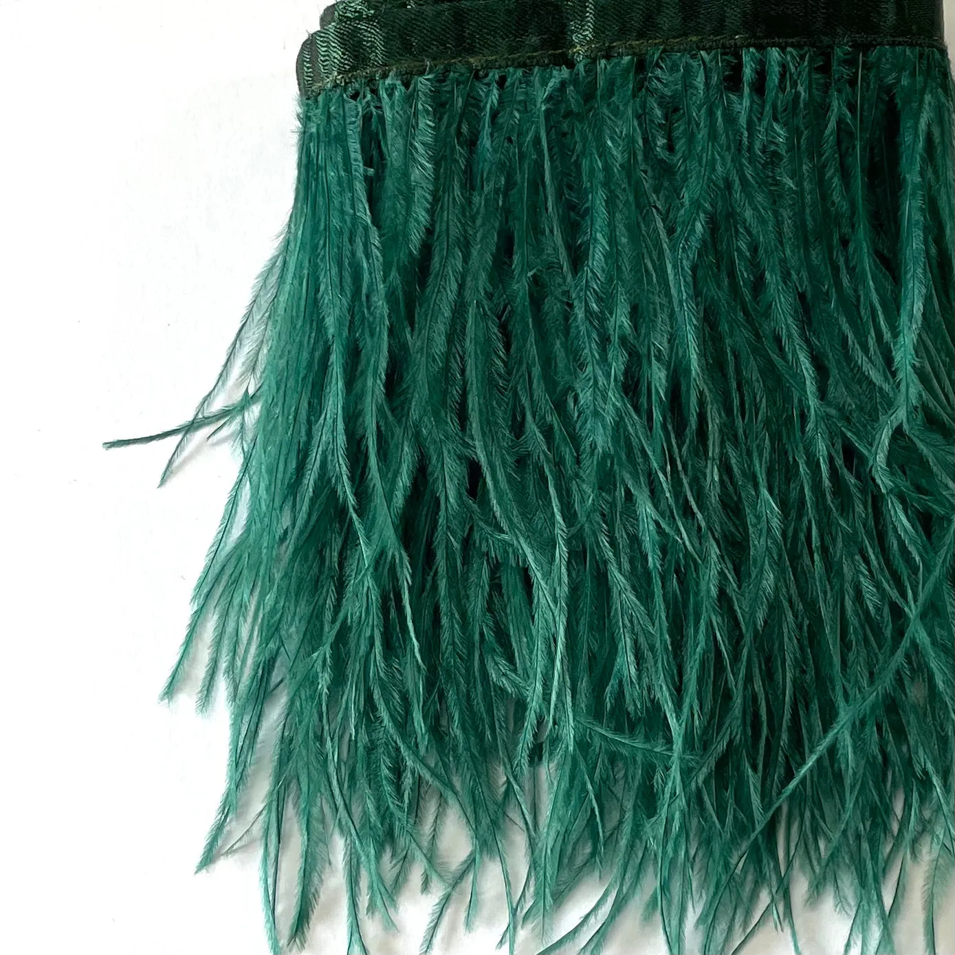 Ostrich Feathers Strung per 10cm - Teal