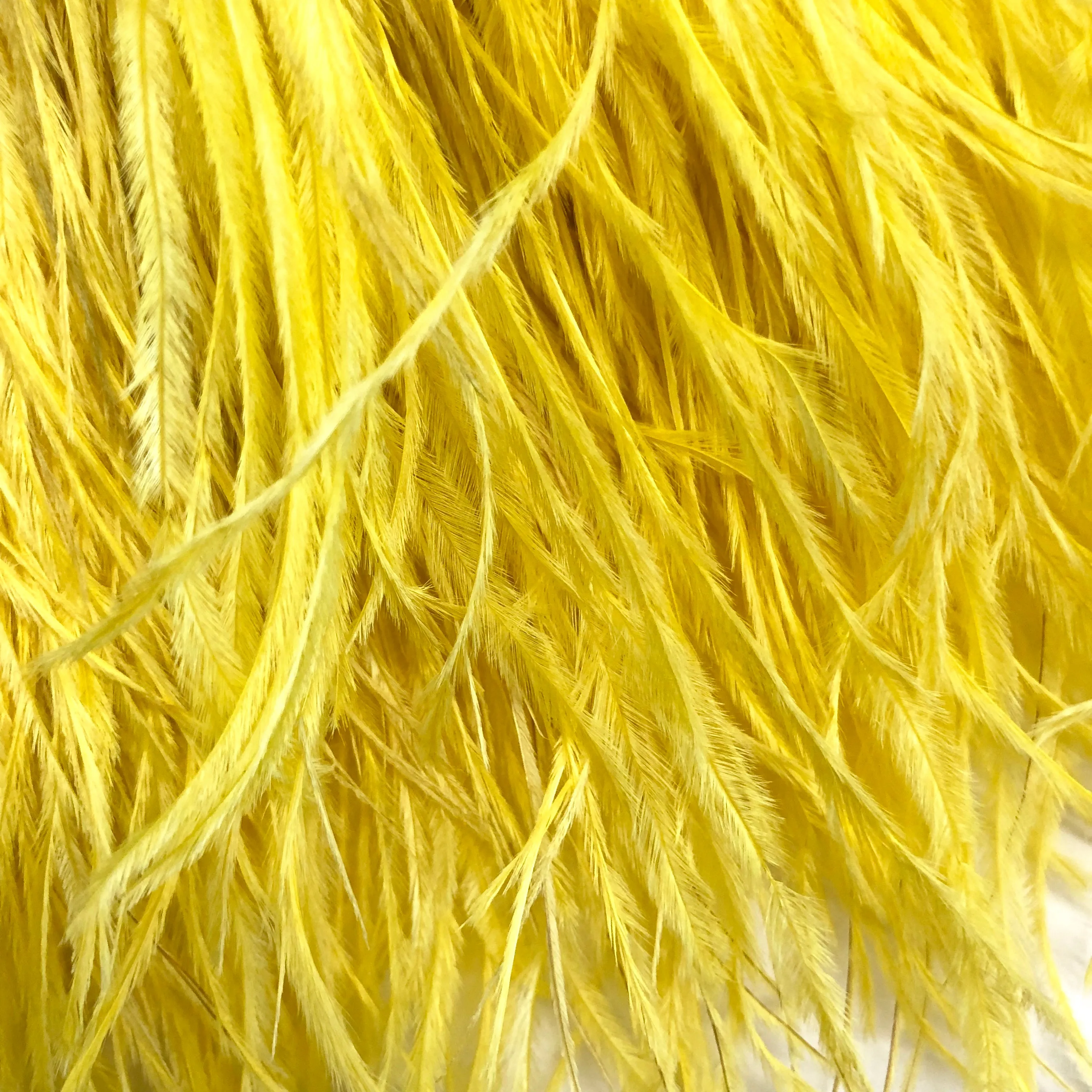 Ostrich Feathers Strung per metre - Yellow