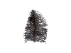 Ostrich Plume - Short