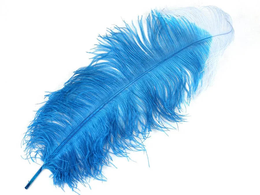 Ostrich Tip Dyed Wing Feathers | Ostrich Plumes