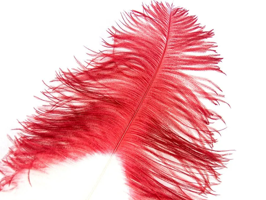 Ostrich Tip Dyed Wing Feathers | Ostrich Plumes