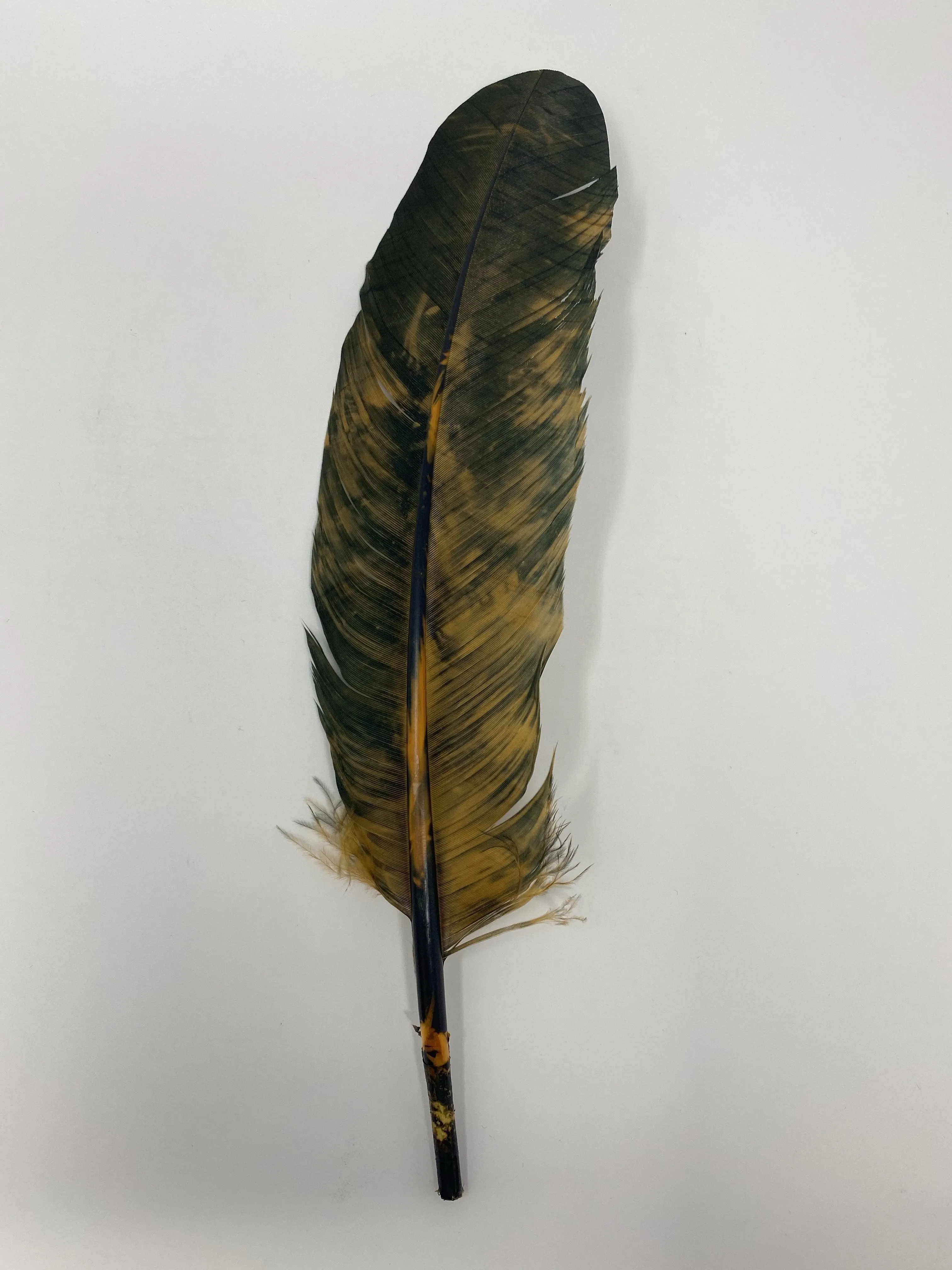 Turkey Feather- Black/Rust Painted Turkey Feather