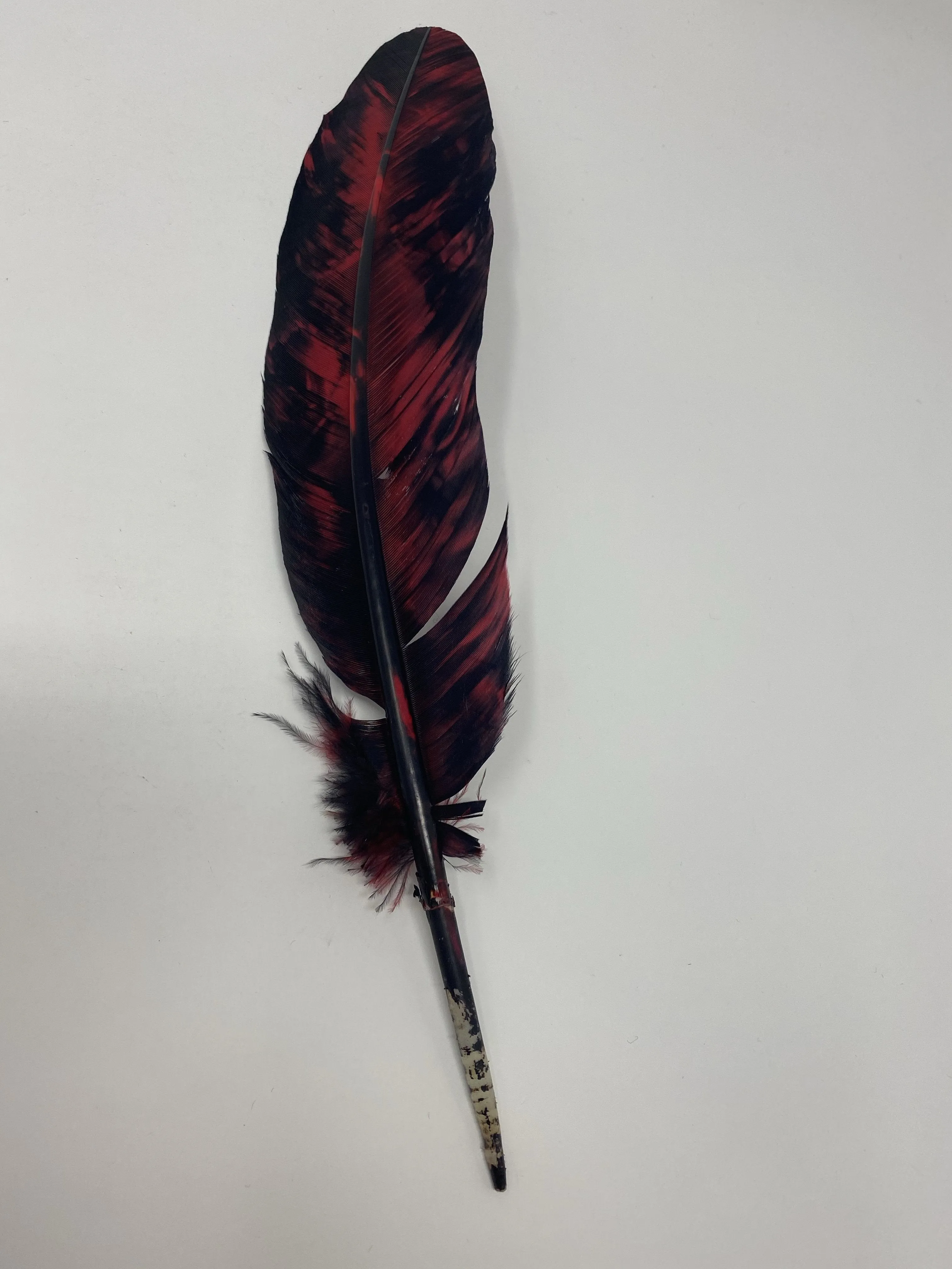 Turkey Feather- RED Painted Turkey Feather