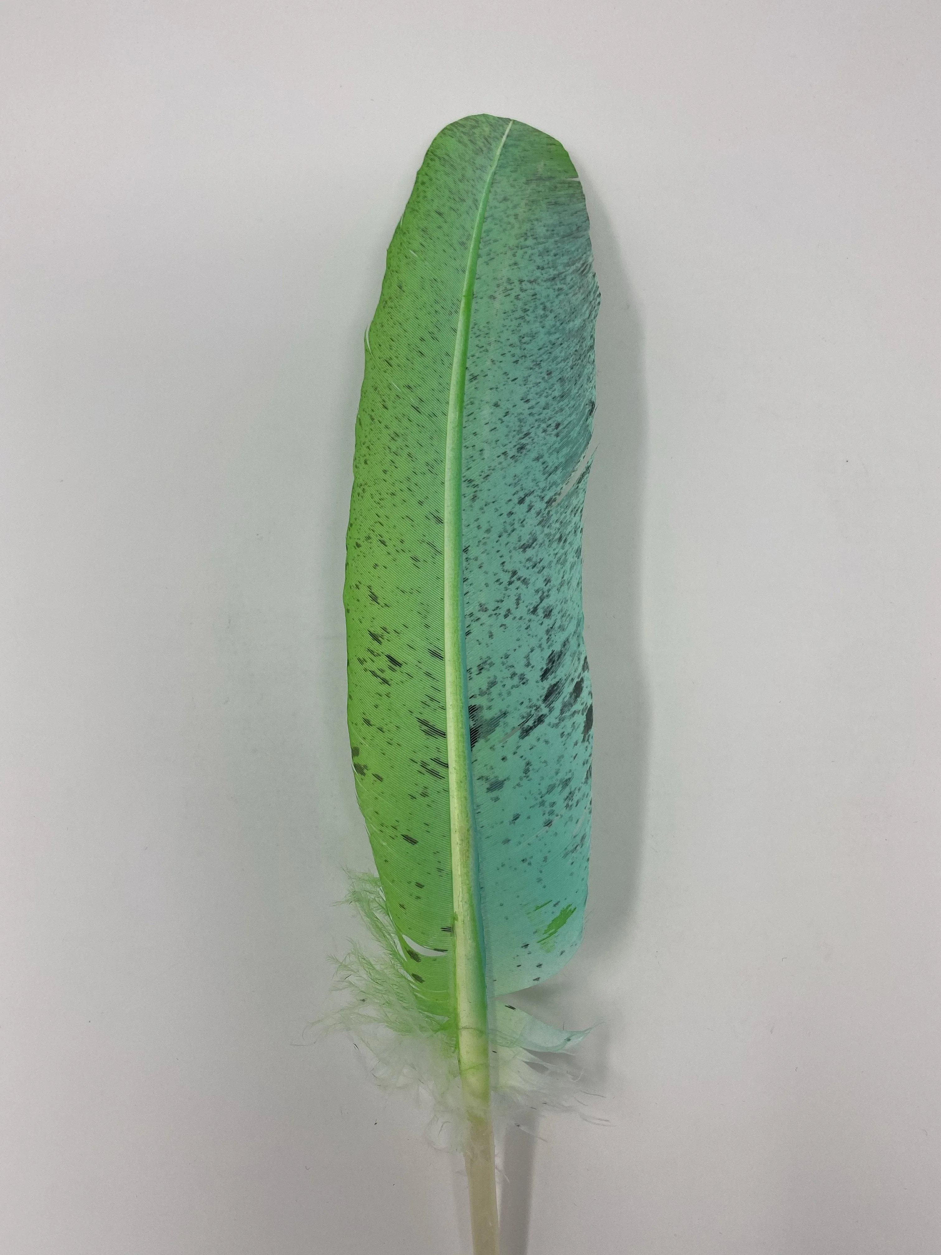 Turkey Feather- Teal/Neon Green Painted Turkey Feather